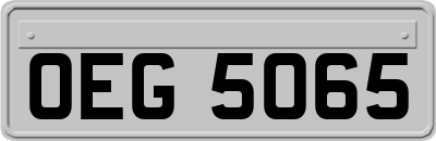 OEG5065