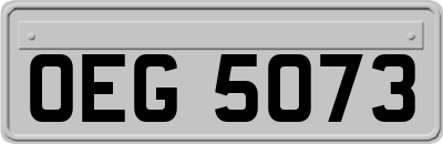 OEG5073