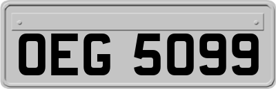 OEG5099
