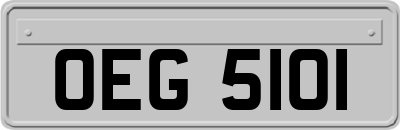 OEG5101