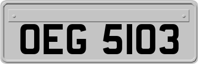 OEG5103