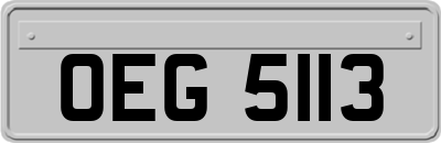 OEG5113