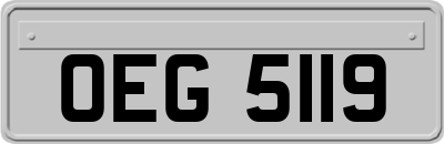 OEG5119