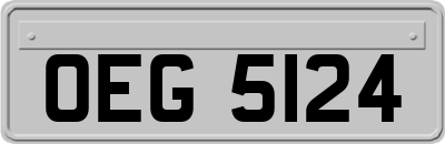 OEG5124