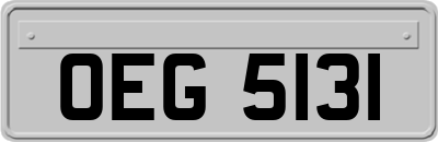 OEG5131