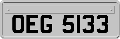 OEG5133