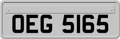 OEG5165