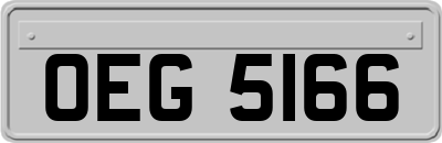 OEG5166
