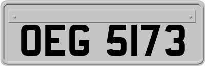 OEG5173