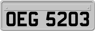 OEG5203