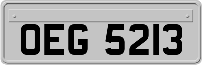 OEG5213