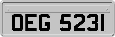 OEG5231