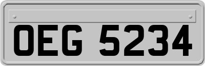 OEG5234