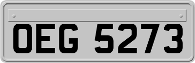 OEG5273