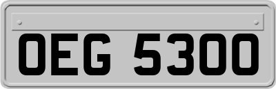 OEG5300