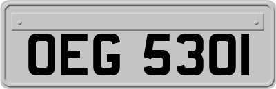 OEG5301