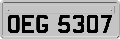 OEG5307