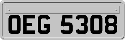 OEG5308