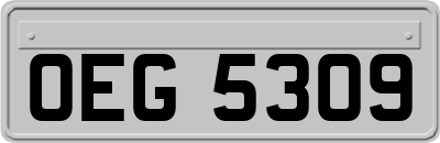 OEG5309