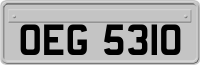 OEG5310