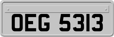 OEG5313