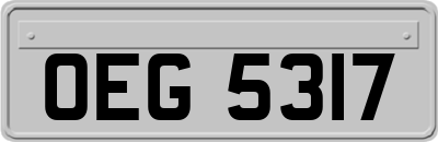 OEG5317