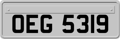 OEG5319