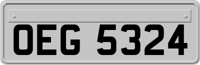 OEG5324