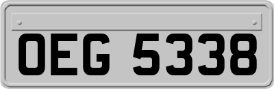 OEG5338