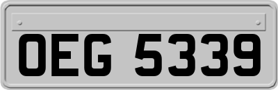 OEG5339