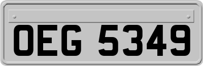 OEG5349