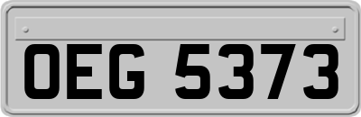 OEG5373
