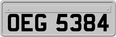 OEG5384
