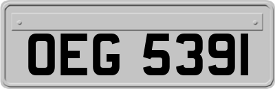 OEG5391