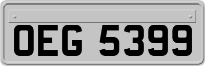 OEG5399