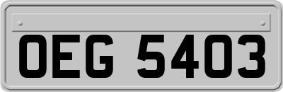 OEG5403