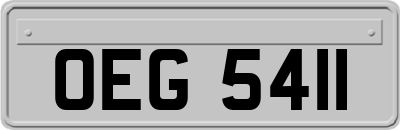 OEG5411