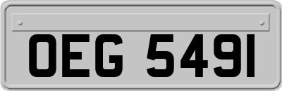 OEG5491