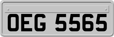 OEG5565