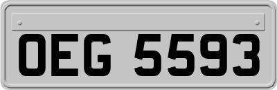 OEG5593