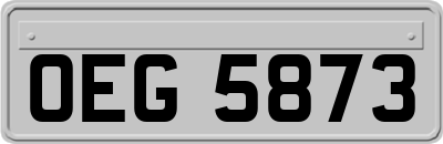 OEG5873