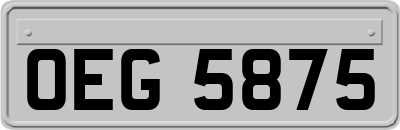 OEG5875