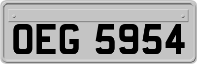 OEG5954