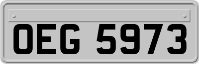 OEG5973