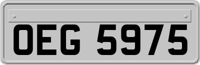 OEG5975
