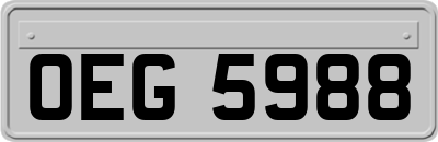 OEG5988