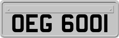 OEG6001