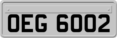 OEG6002