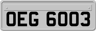 OEG6003