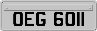 OEG6011